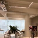 [06/20] 프리저브드 플라워 미니센터피스 - 원데이 클래스 | 감성 충천 🌲 [압구정•신사 꽃집] '몽소플레르 MONCEAU FLEUR' 미니트리 원데이클래스 후기 (가격/위치)