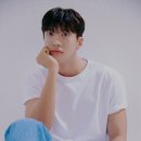 김서하 카카오 검색결과