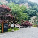 카페반월 - 광산구 반월안길 7 | '정선 감성 여행' 비 오는 날의 '화암약수', 그리고 입구 앞 아기자기한 '반월카페' 힐링 후기