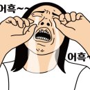 디엠달서점