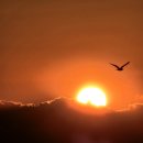 동해시-41 이미지