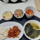 애플팜민박 | 1박2일 짧고 굵게 베를린 여행 클리어 / 체코 워홀 🇨🇿 프라하 한인민박 스텝 일기 ep.8