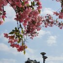 장안공원 이미지