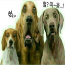 구두다방