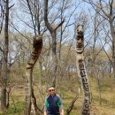 대전구봉고등학교 이미지