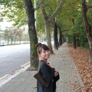 화랑대역 1번출구 버스정류장 이미지