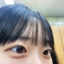 다들 일로 와봐봐 2편