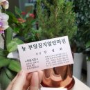 엄지지압안마원 이미지