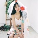 애니(Any)