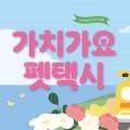 인천서구청라 가치가요 펫택시 이미지