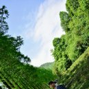 제주관광대학교 이미지