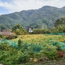 삼태미마을 이미지