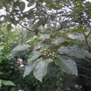 (주)기원농장 이미지