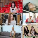 하미 이미지