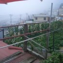 태조민박 이미지