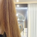 유명한 카클리닉 이미지