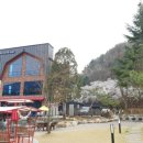 천사 애견 | 애견동반 가능한 양평 구름정원 제빵소 방문 후기 🐶🥐