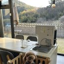 담양 밀크펜션 | 담양애견동반펜션 구르미펜션, 천둥이방에서 강아지와 함께한 감성 힐링 여행