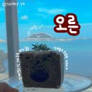 성산고등학교 | 제주 동쪽 오션뷰 카페 성산 오른