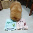 아이디덴탈 이미지