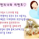 오렌지나라 | 자랑질 // 오렌지나라에서 후기상품이 왔어요~^^ :: 롱머그컵 &amp; 통장지갑!