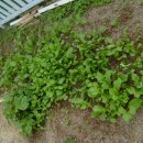 희정이네농장 이미지