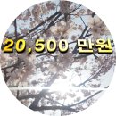 은평-002 티스토리