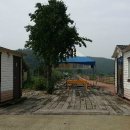 온천단지 가로수길 이미지