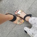 바니플랫 이미지