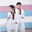 한국체대 MTA 태권도 이미지