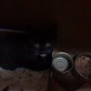 홍대전철역 5번출구 이미지