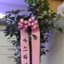 마스타치과기공소 이미지