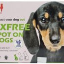 율하동물약국 이미지