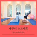 비전동 소로 3-36 | 임산부에게 정말 좋은 개구리 스트레칭(비전동PT)
