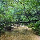 수락산계곡 이미지