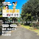 제주여행 식사 고민 끝! 리뷰 찬사 받은 현지인 추천 맛집