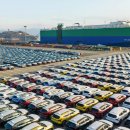 덕이모터스 이미지