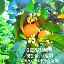 마르쉐 DDP 놀러 오세요 이미지