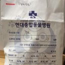 현대종합동물병원 이미지