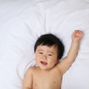 핑크빅