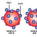 서내과의원 이미지