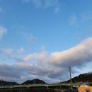 우현동물병원 | 1월 넷째주와 마지막주 일상