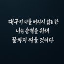세징야: 대구가 나를 버리지 않는 한... 이미지