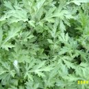 등너머약수터 이미지