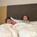 비취파크 | 삼척그란폰도 완주 후 힐링, 삼척 쏠비치 2박 3일 후기