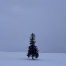 이동꿈틀도서관 | 겨울 홋카이도 한 번쯤 가 봐야지