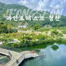 8F모텔 | 파인포레스트 정선 알파인리조트 바베큐 수영장 시간