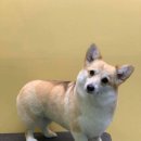 구억리 경로당 이미지