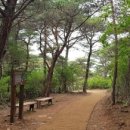 룡대미어촌체험휴양마을 이미지