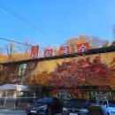 서울대공원 | 과천 가볼 만한 곳 서울대공원 동물원 후기｜리프트 패키지·동물 근황 총정리